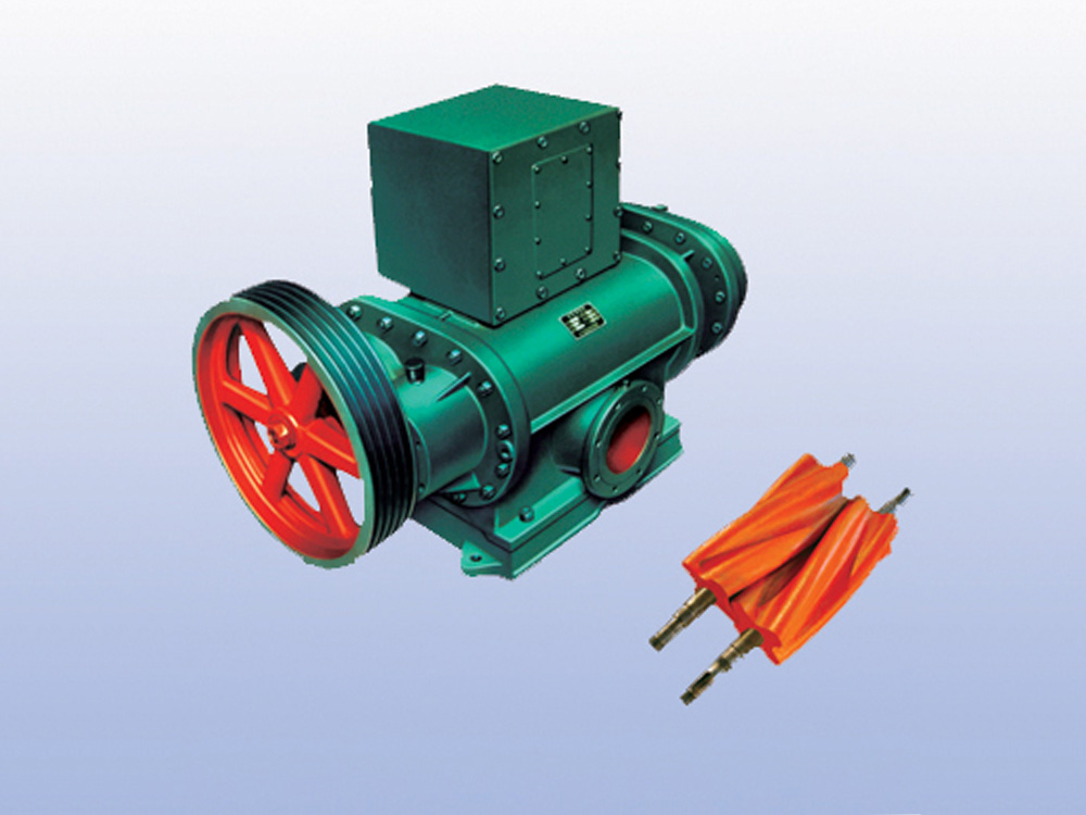 Roots vacuum pump